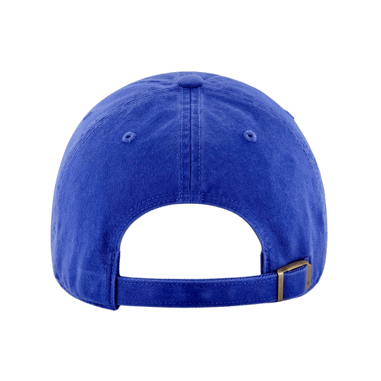 W DAD HAT. - OBVIOUS SHIRTS