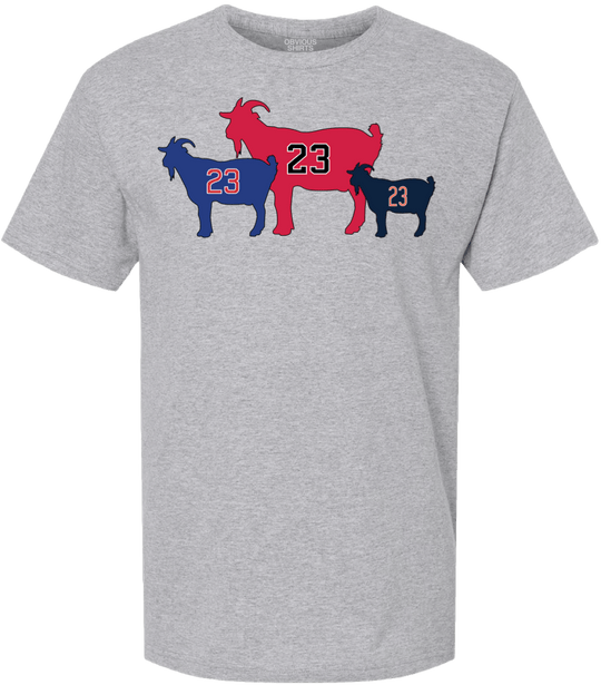 THE CHICAGOATS. - OBVIOUS SHIRTS