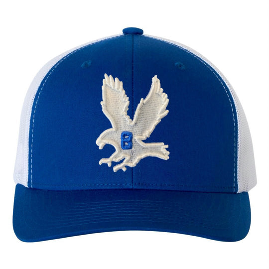 THE HAWK. (SNAPBACK HAT) - OBVIOUS SHIRTS.