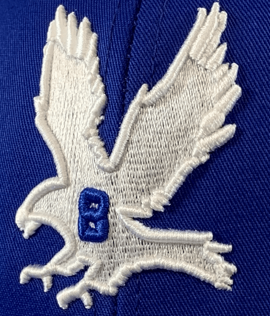 THE HAWK. (SNAPBACK HAT) - OBVIOUS SHIRTS.