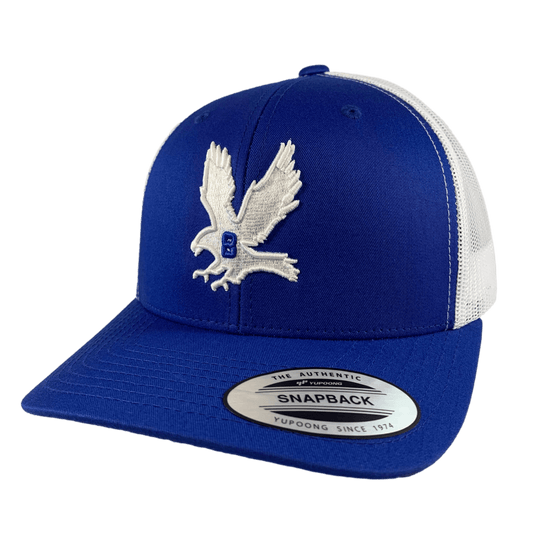 THE HAWK. (SNAPBACK HAT) - OBVIOUS SHIRTS.