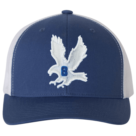 THE HAWK. (SNAPBACK HAT) - OBVIOUS SHIRTS