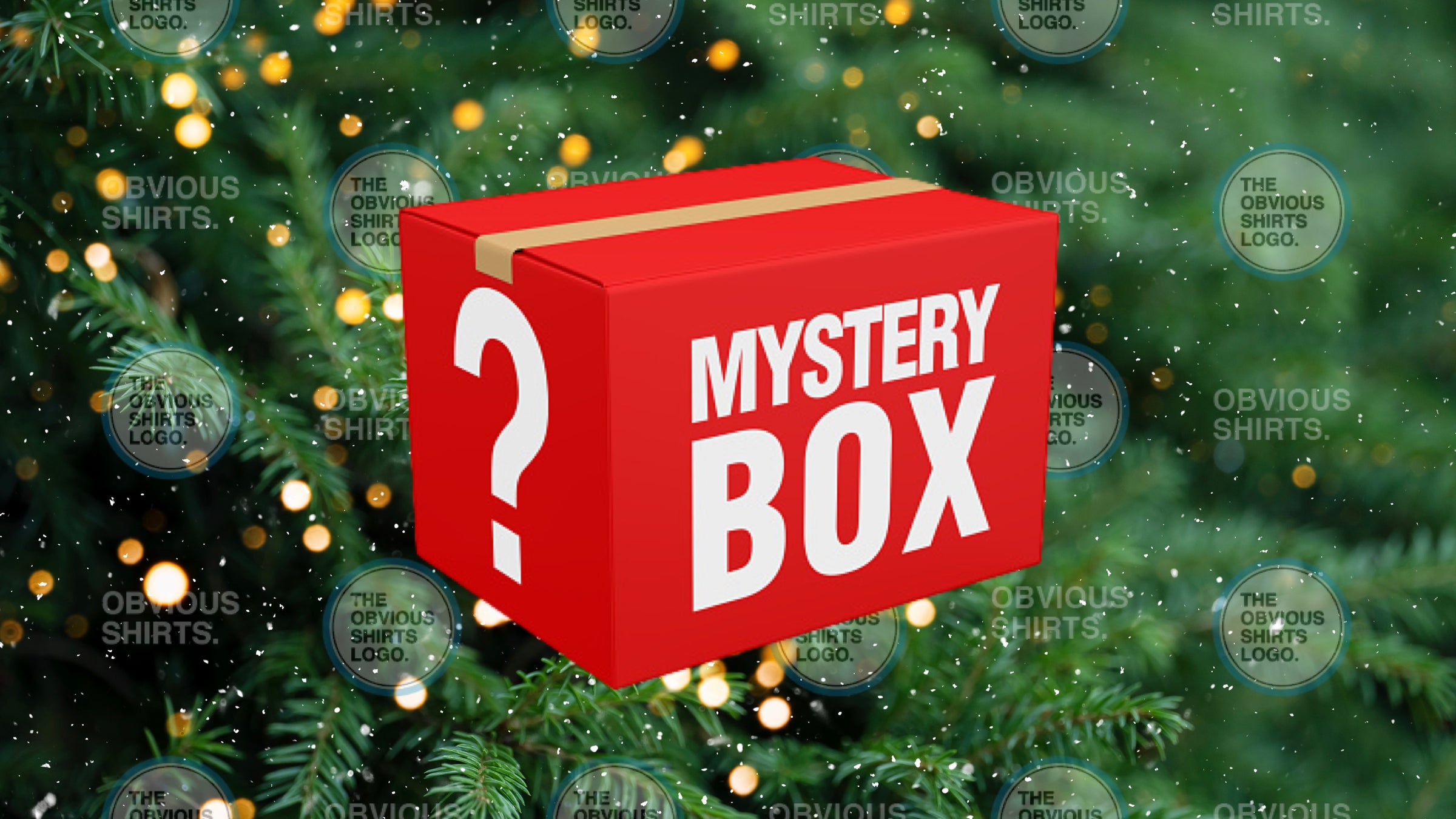 MYSTERY BOX | OBVIOUS SHIRTS.