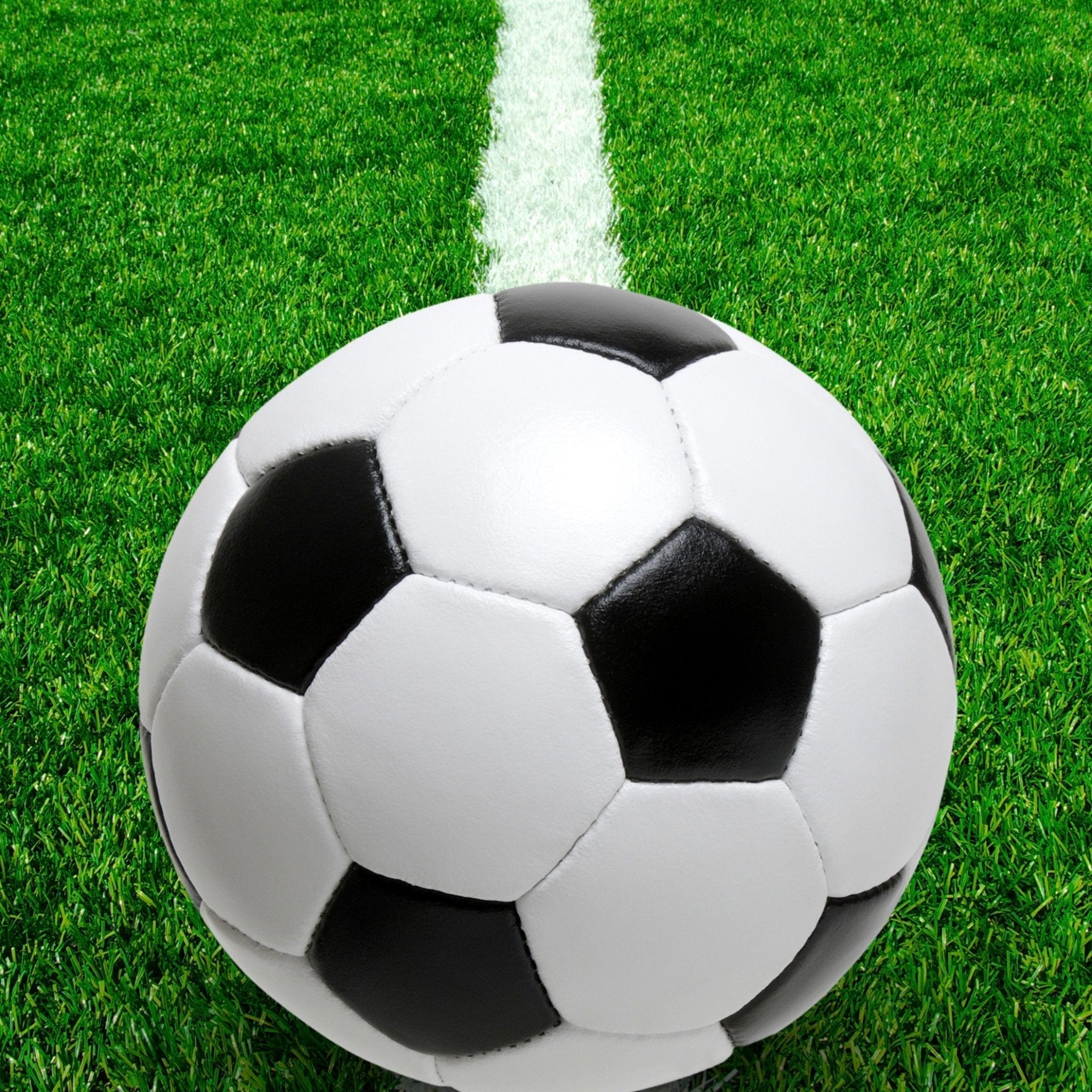 SOCCER - OBVIOUS SHIRTS