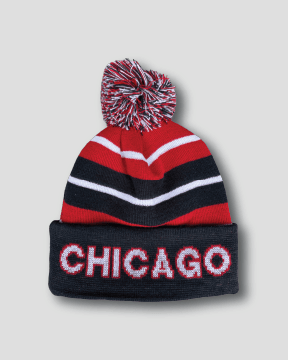 CHICAGO BEANIE. - OBVIOUS SHIRTS