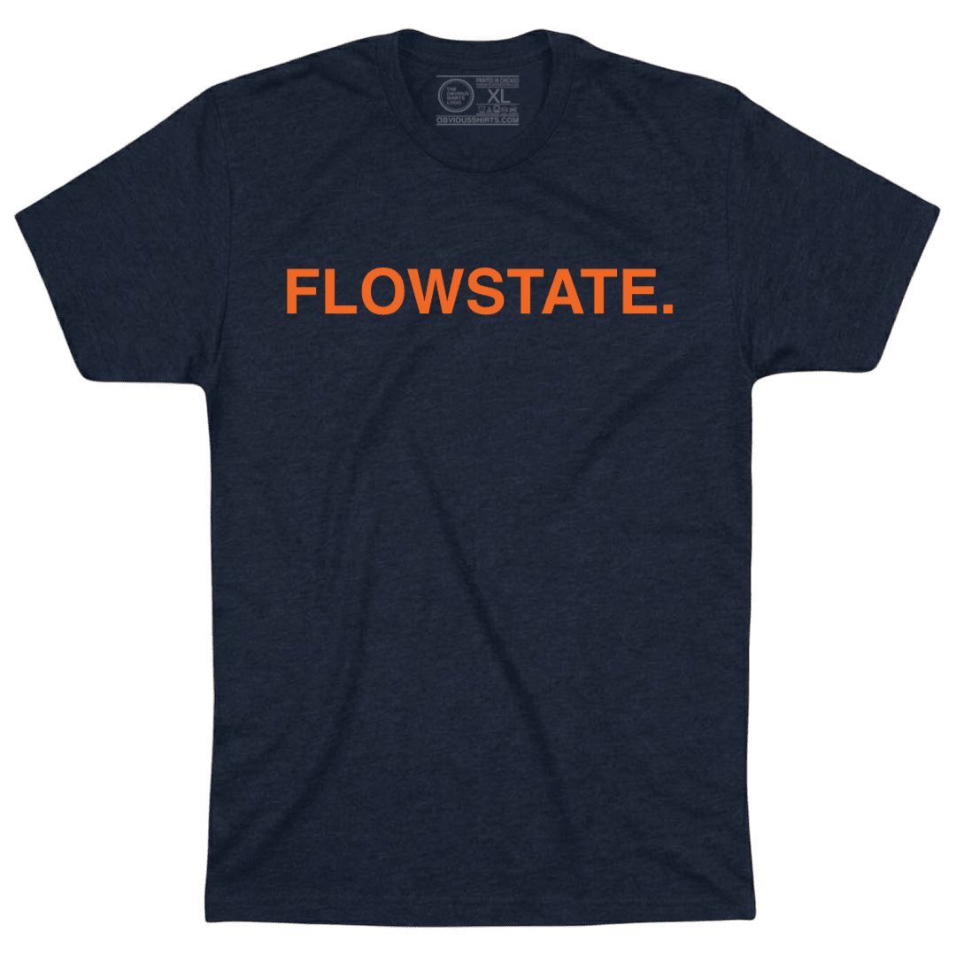 FLOWSTATE. - OBVIOUS SHIRTS