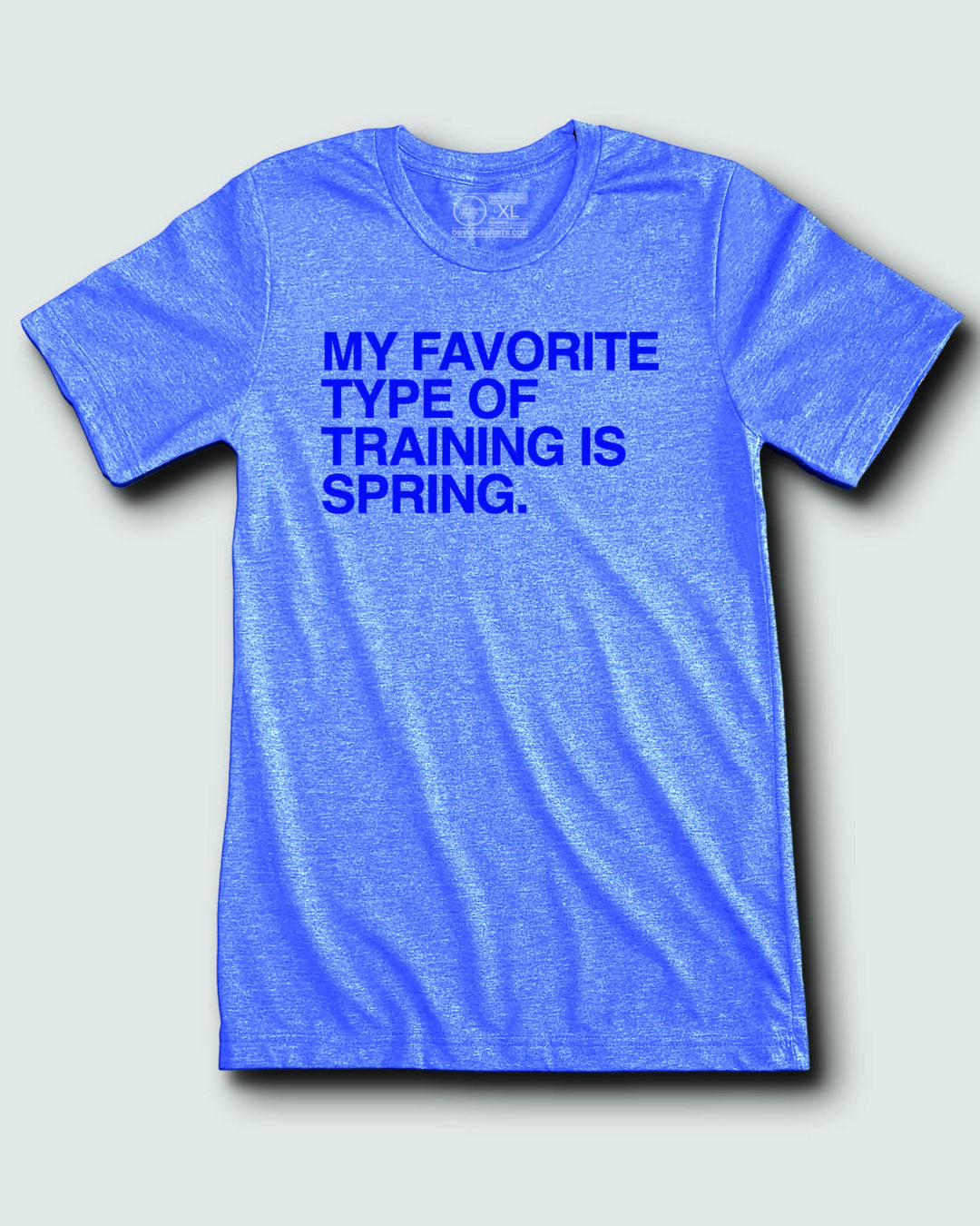 MY FAVORITE TYPE OF TRAINING IS SPRING. - OBVIOUS SHIRTS