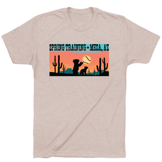 SPRING TRAINING MESA ARIZONA. - OBVIOUS SHIRTS
