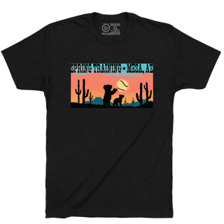 SPRING TRAINING MESA ARIZONA. - OBVIOUS SHIRTS