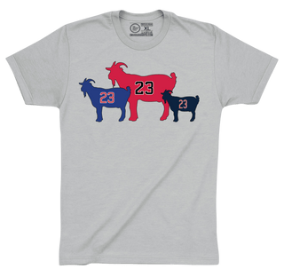THE CHICAGOATS. - OBVIOUS SHIRTS