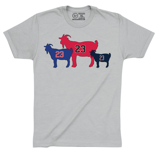 THE CHICAGOATS. - OBVIOUS SHIRTS