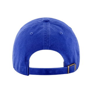W DAD HAT. - OBVIOUS SHIRTS