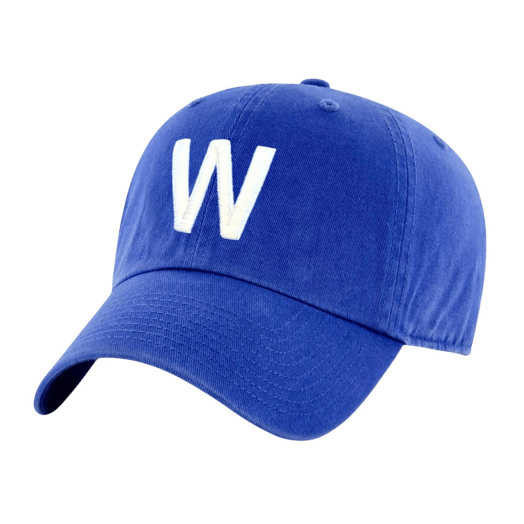W DAD HAT. - OBVIOUS SHIRTS
