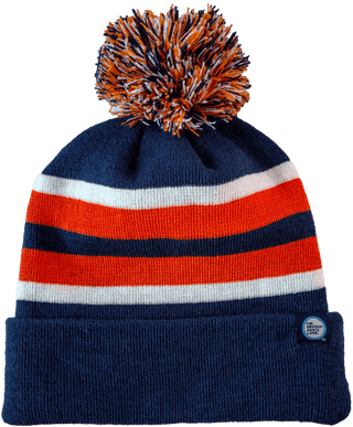BEAR DOWN BEANIE. - OBVIOUS SHIRTS