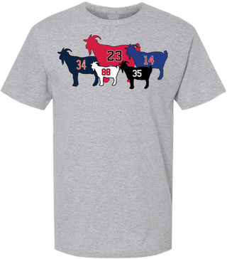 THE CHICAGOATS. (ALL SPORTS) - OBVIOUS SHIRTS